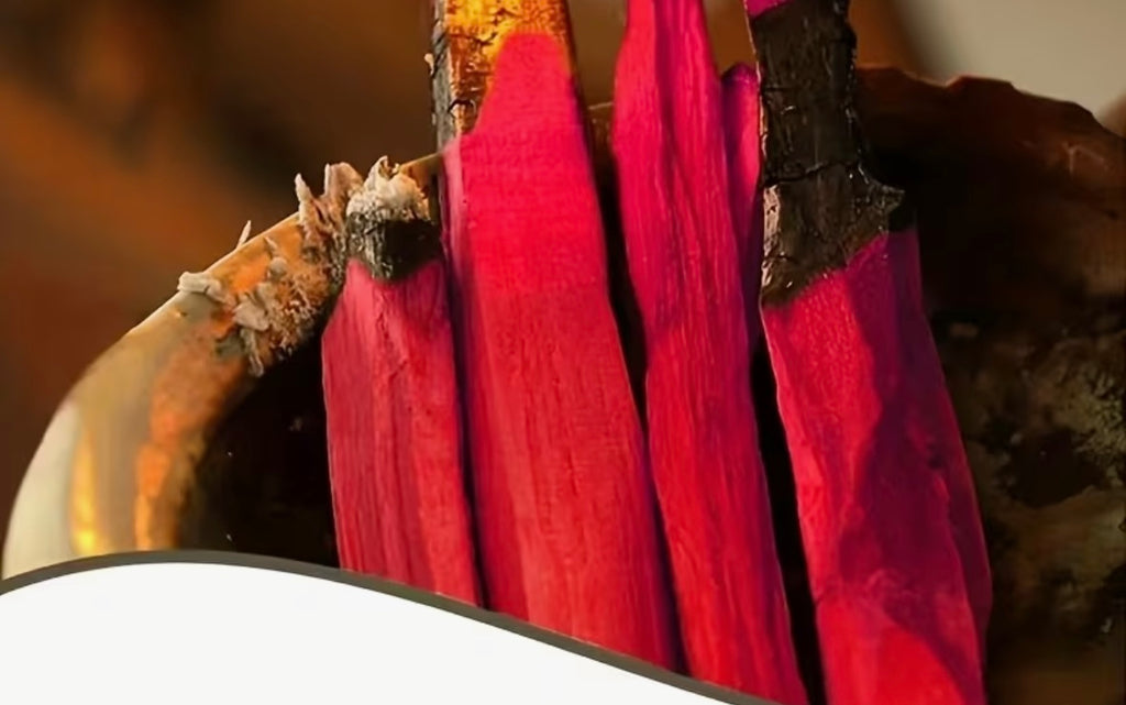PALO SANTO SANGRE DE DRAGÓN 🐉