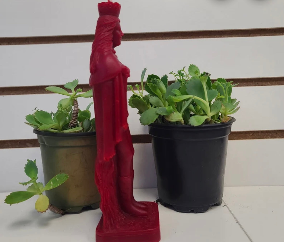 🕯️VELA POMBA GIRA 7 ENCRUCIJADAS RITUALIZADA 🌹